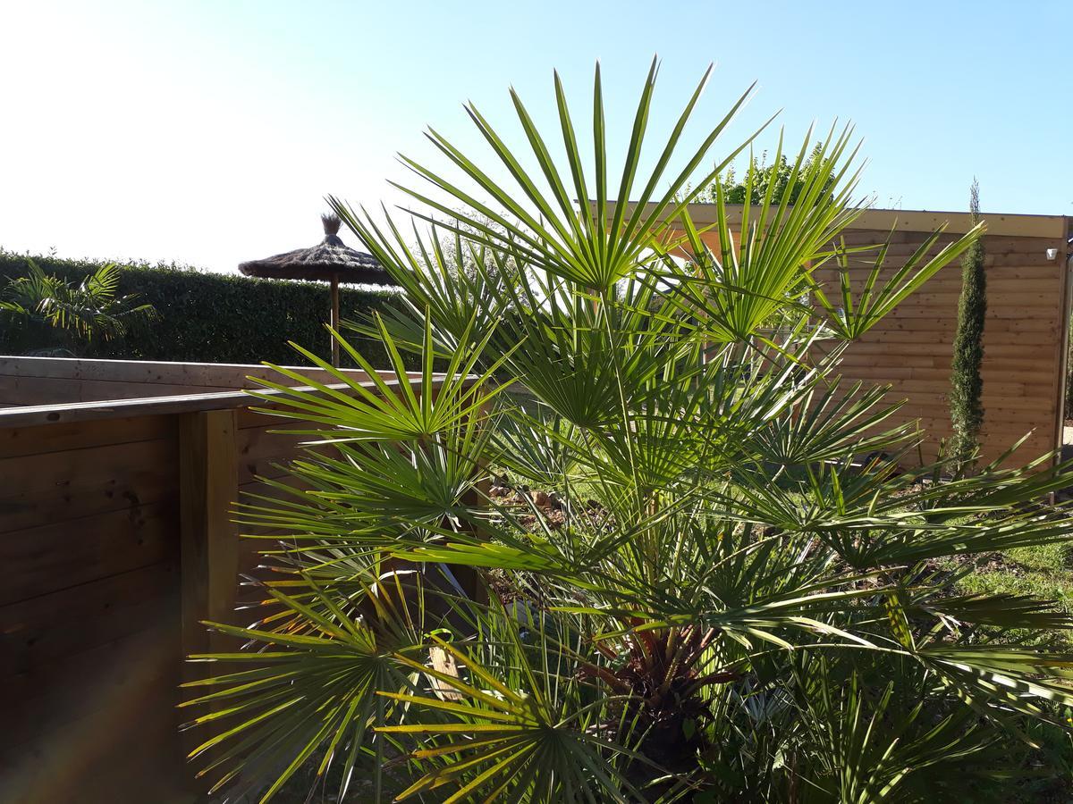 Les Pilotis Du Cognac Villa Bourg-Charente Exterior photo